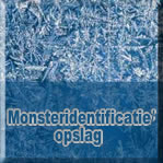 Monsteridentificatie / Opslag