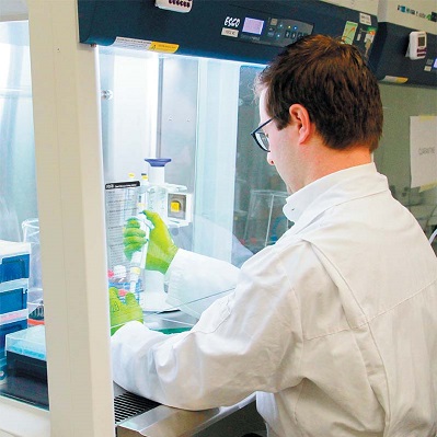 Labvision 42 onderzoek neuronen