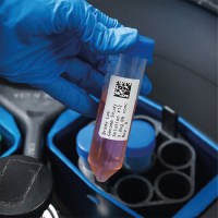 B499 brady etiket, etiketten ter identificatie van laboratorium flessen en conische buisjes -Vloeibare stikstof (-196ºC), lab vriezer, autoclaaf